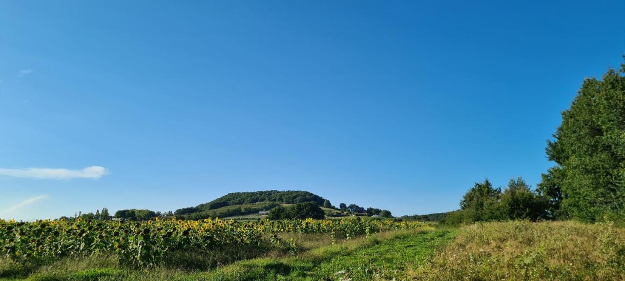 Le Coq En Repos Bed & Breakfast Saint-Sylvestre-sur-Lot Exterior foto