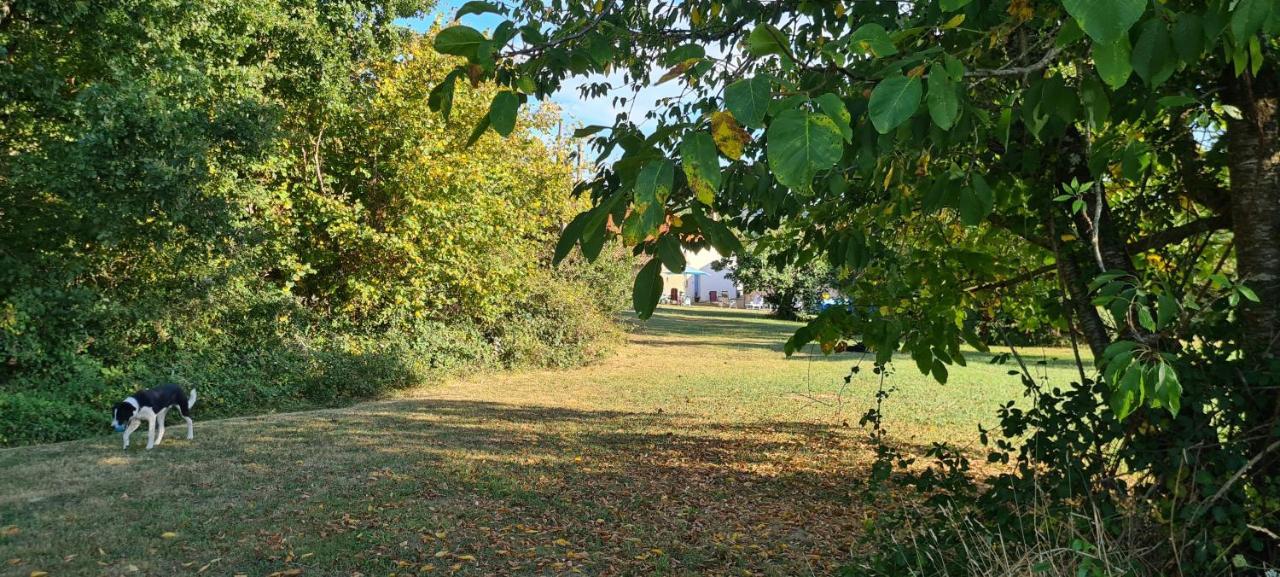 Le Coq En Repos Bed & Breakfast Saint-Sylvestre-sur-Lot Exterior foto